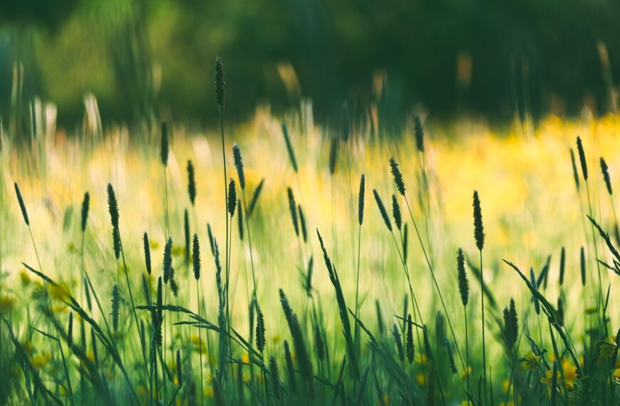 To the Husband who Seeks Reconciliation