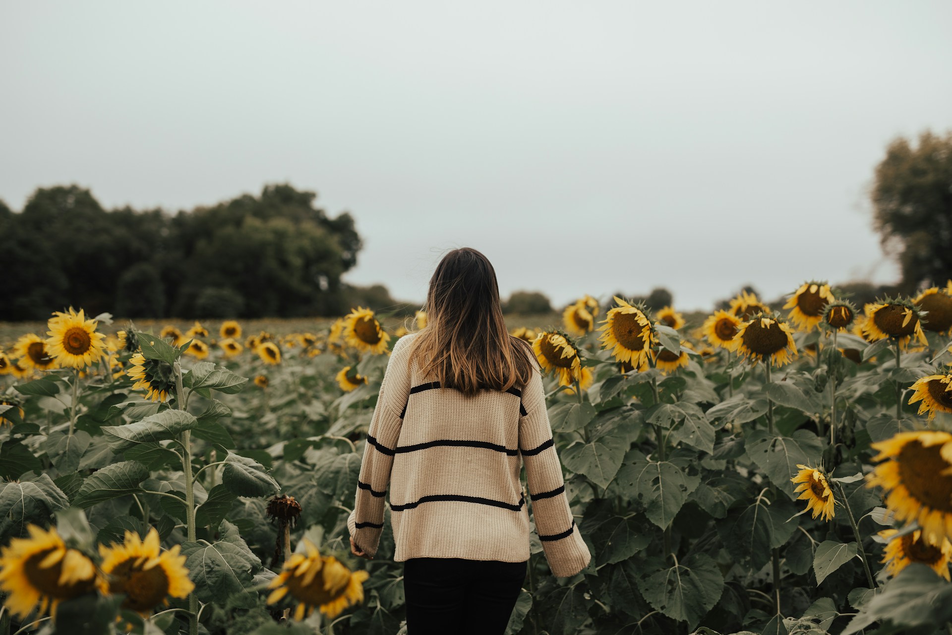 Who You Are, and What You’re Worth