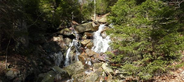 Meditating on Scripture: A Life-Changing Habit