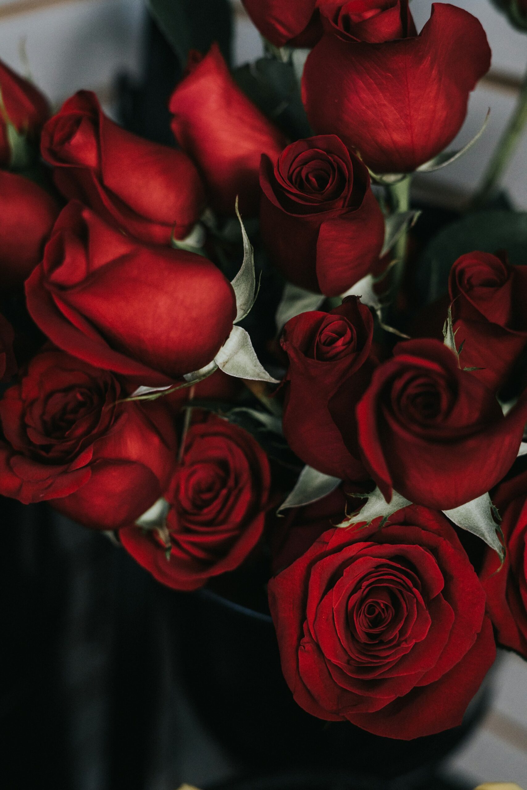 The Love Chapter (Adapted)