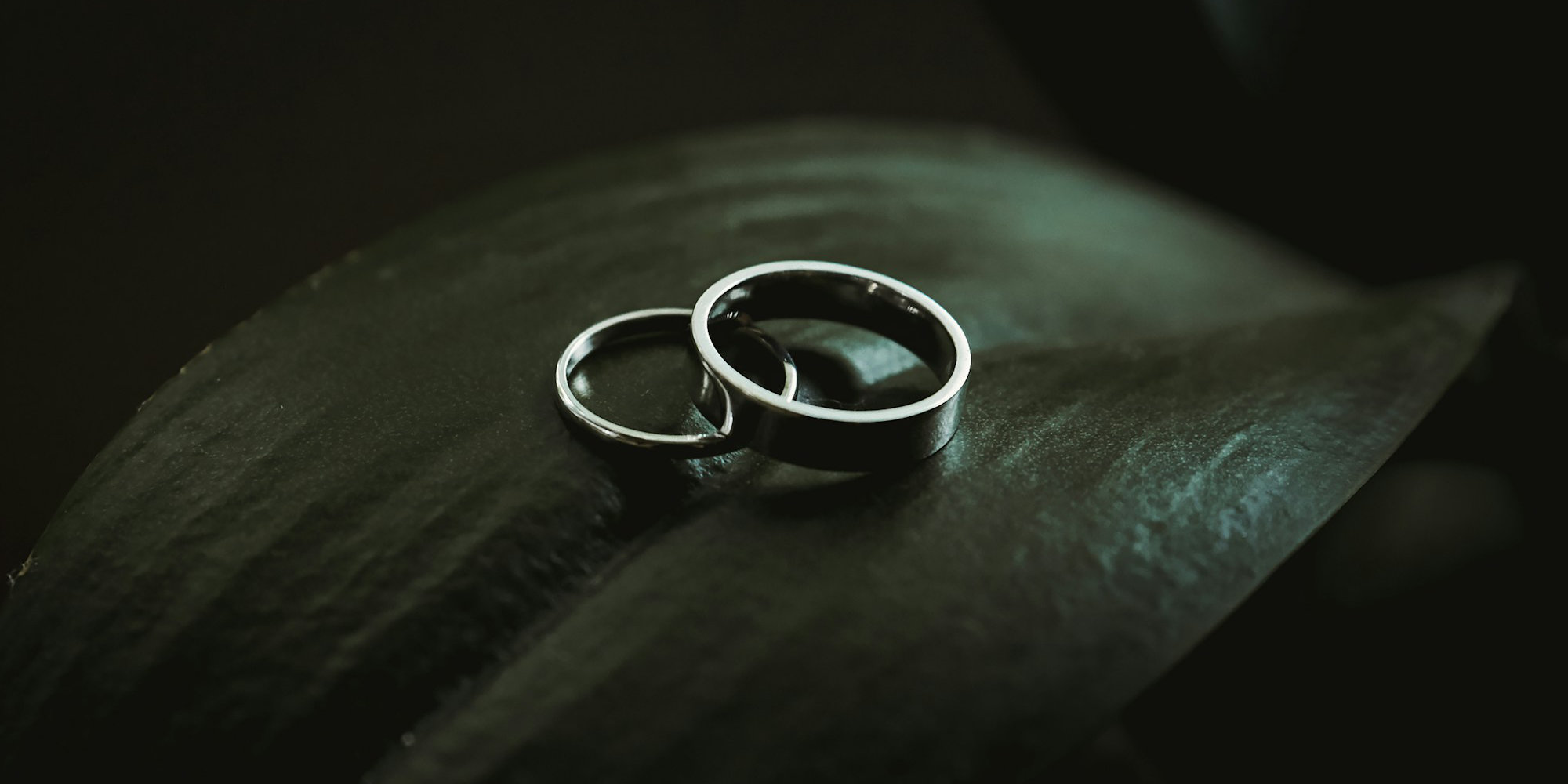 The Husband Chapter
